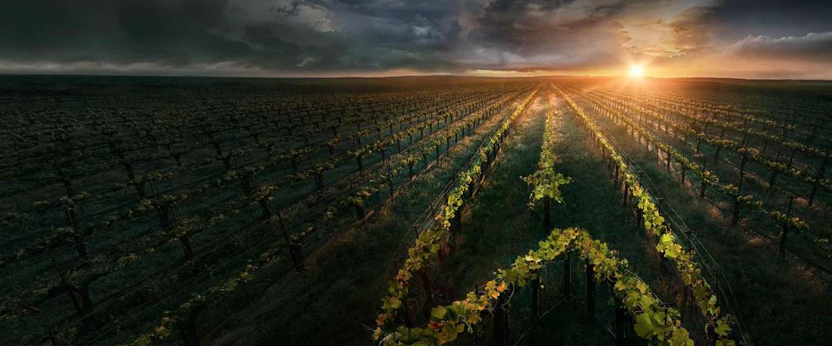 Star Trek: Picard - Season 1