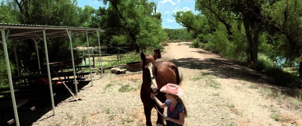 A Horse Tale