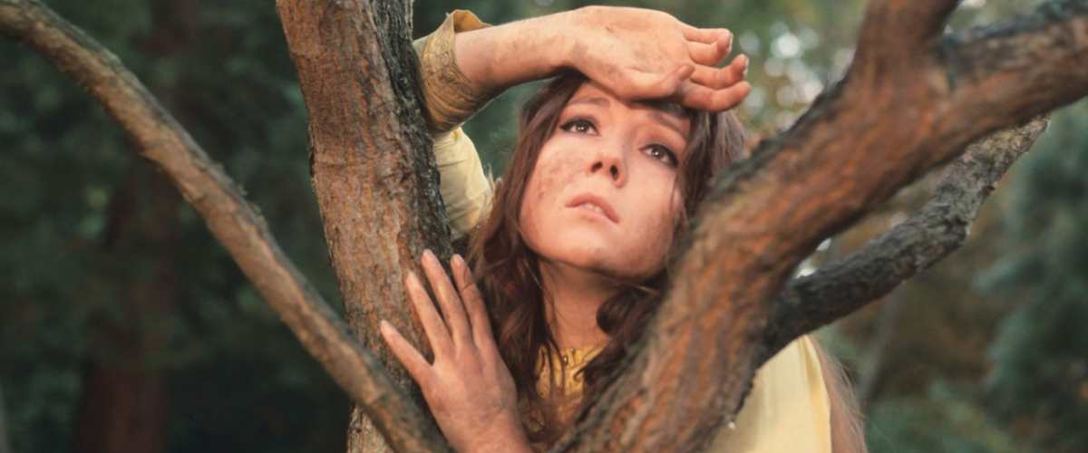 A Midsummer Night's Dream