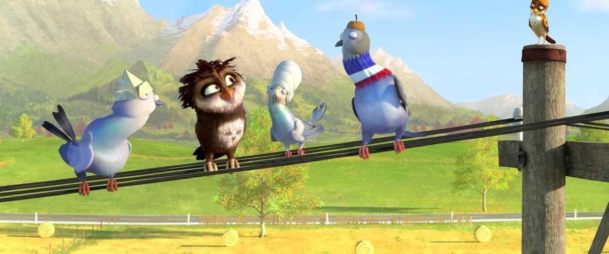 Watch A Storks Journey