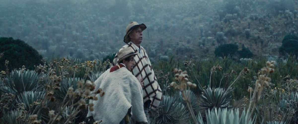 Watch A Vanishing Fog