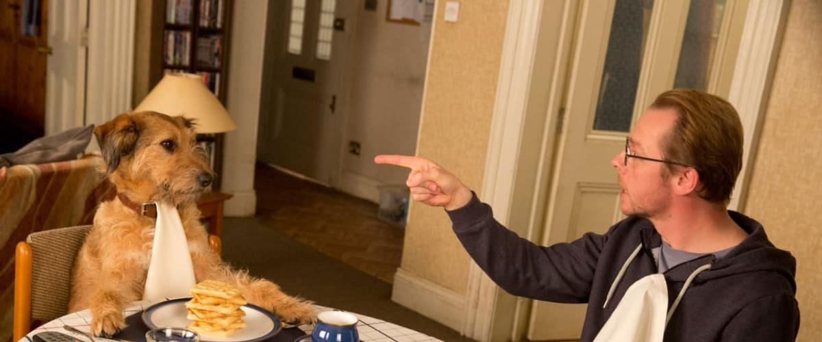 Watch Absolutely Anything