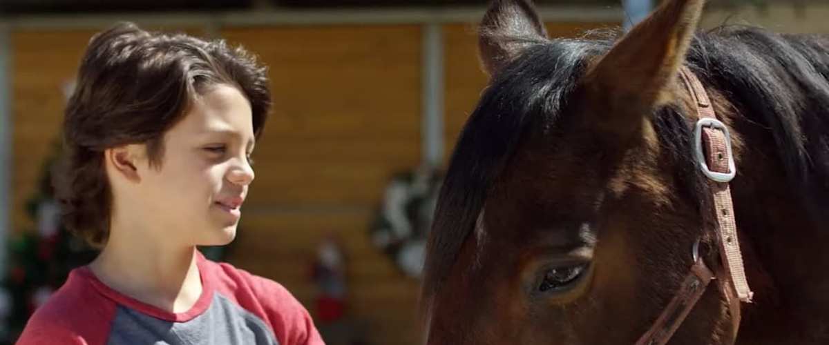 Ace & the Christmas Miracle