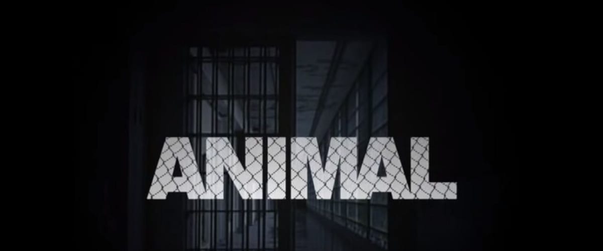 Watch Animal in 1080p on Soap2day