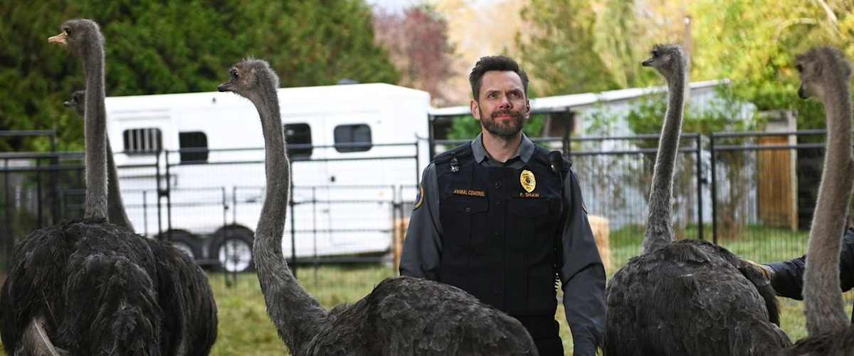 Watch Animal Control - Season 1