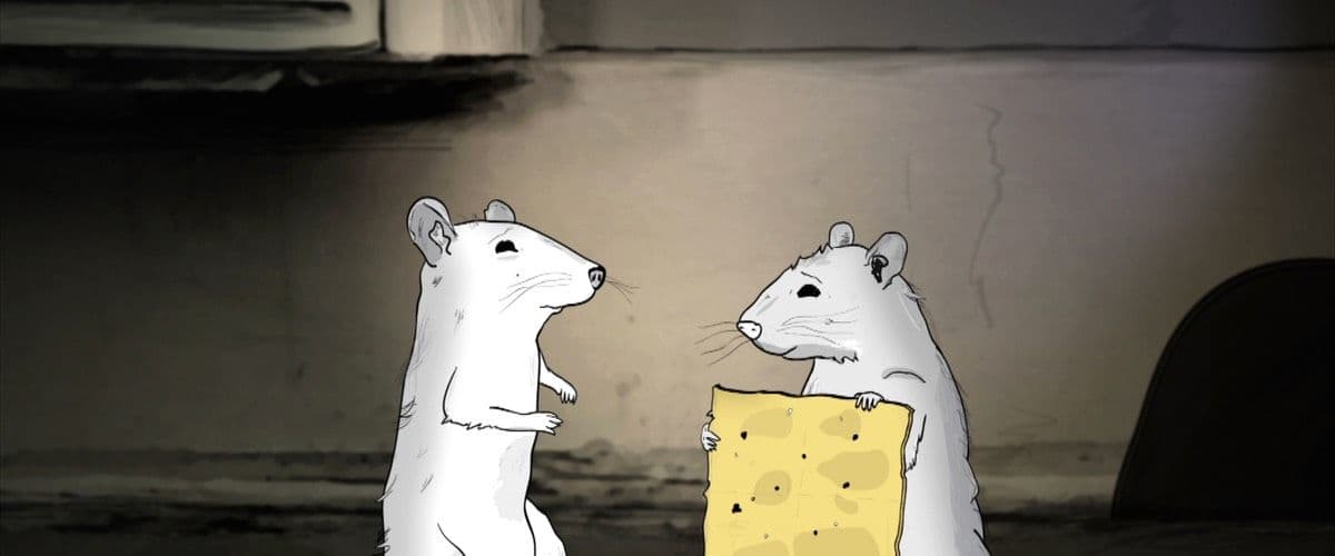 Animals - Season 2