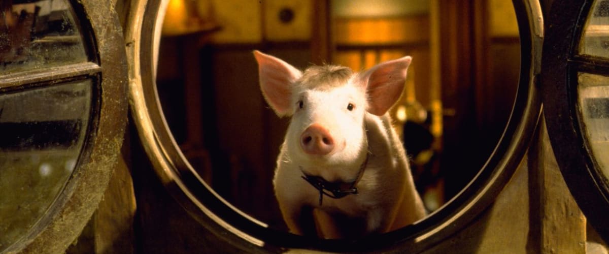 Babe: Pig in the City