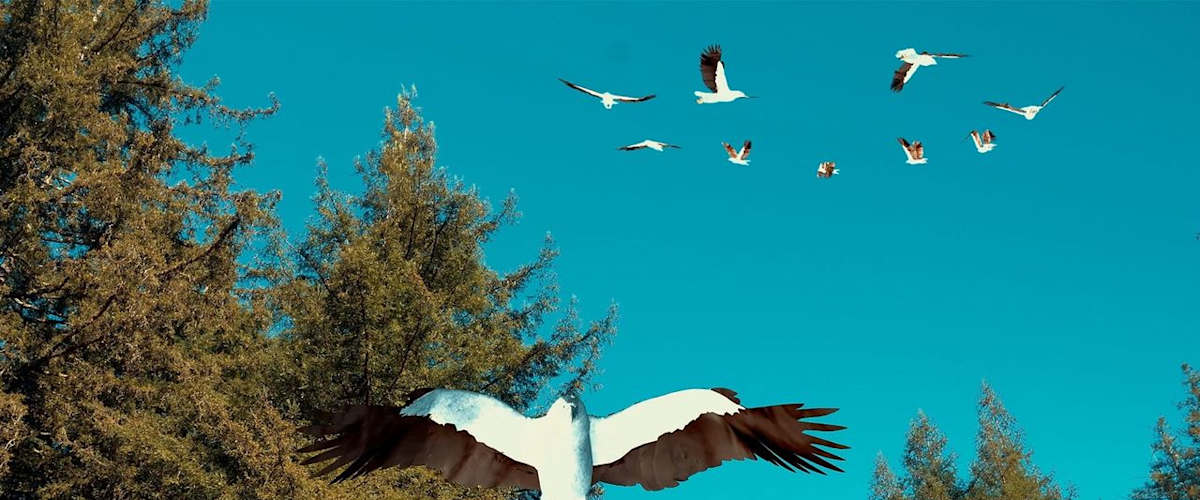 Watch Birdemic 3: Sea Eagle