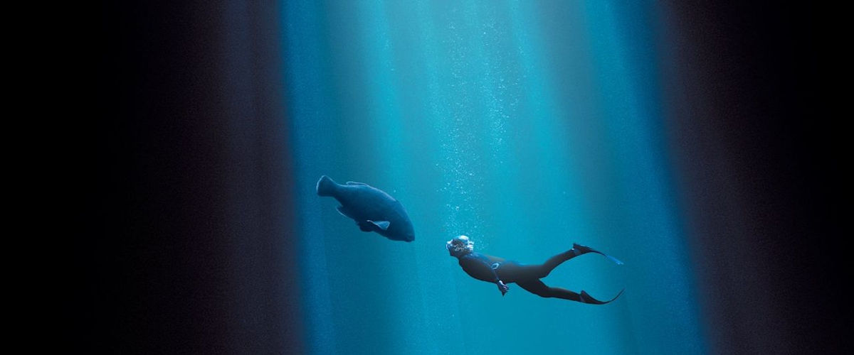 Blueback