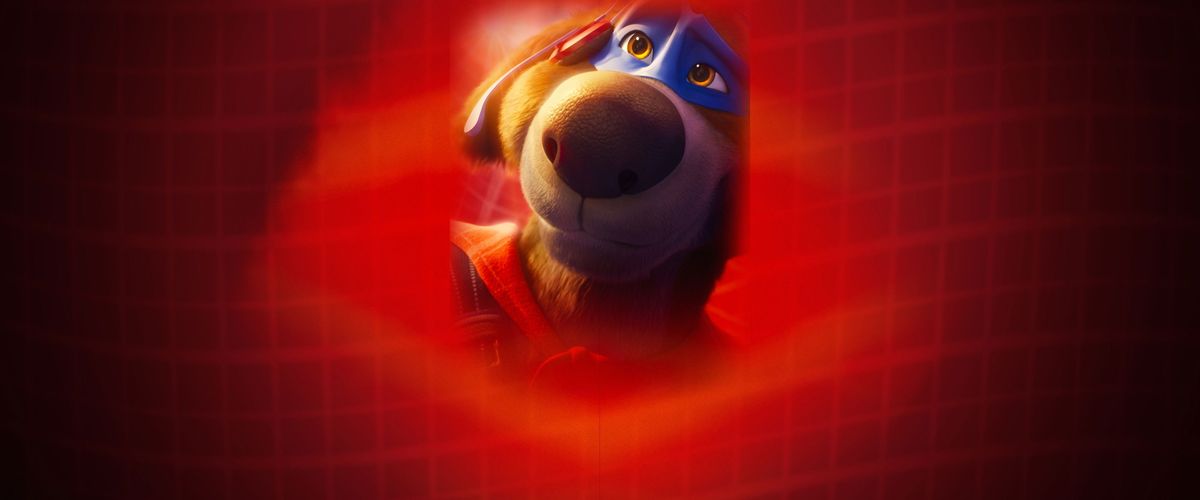 Charlie the Wonderdog