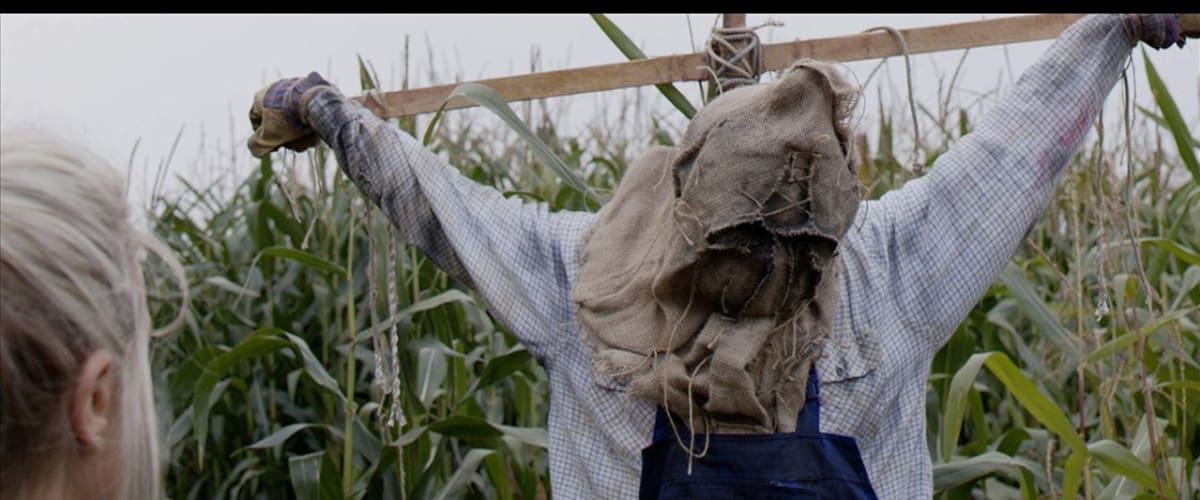 Curse of the Scarecrow
