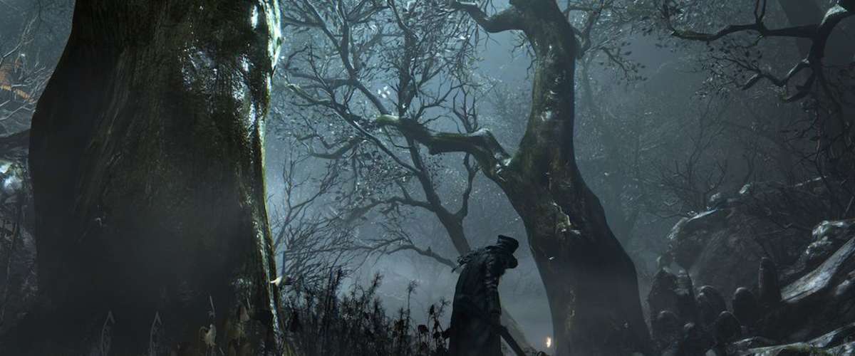 Dark Forest