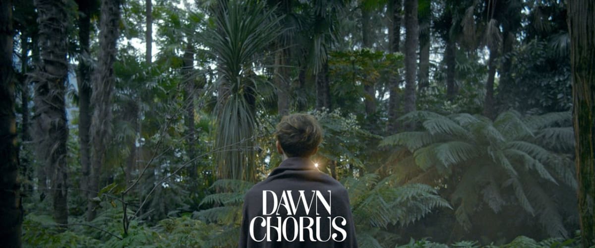 Dawn Chorus