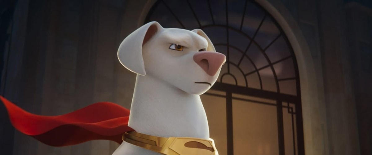 DC League of Super-Pets