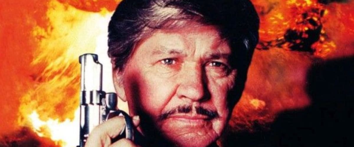 Death Wish V: The Face of Death