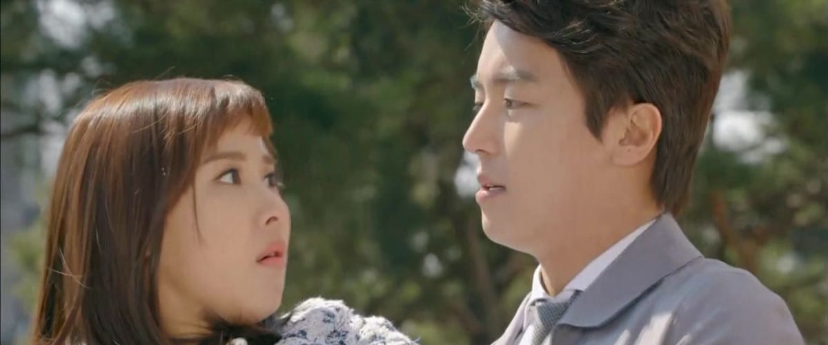 Divorce Lawyer in Love