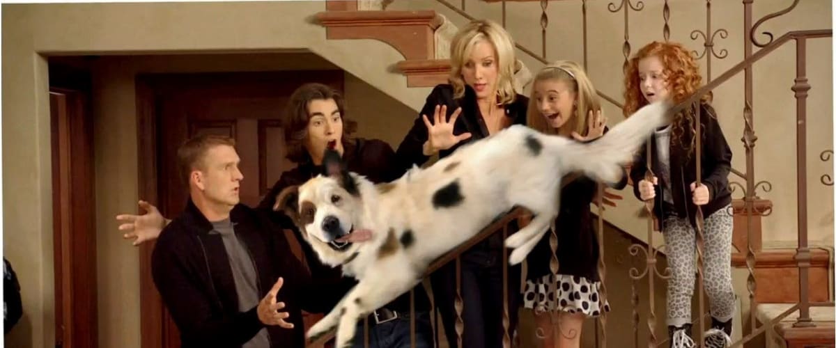 Dog with a Blog - Season 3