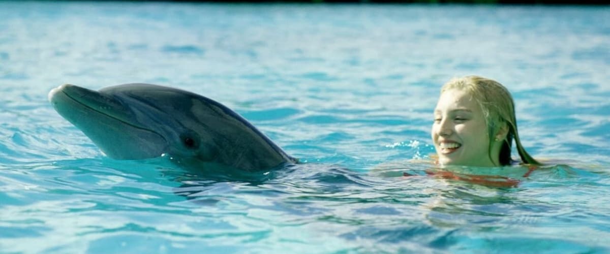 Dolphin Island