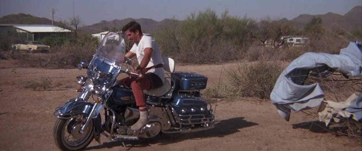 Electra Glide in Blue