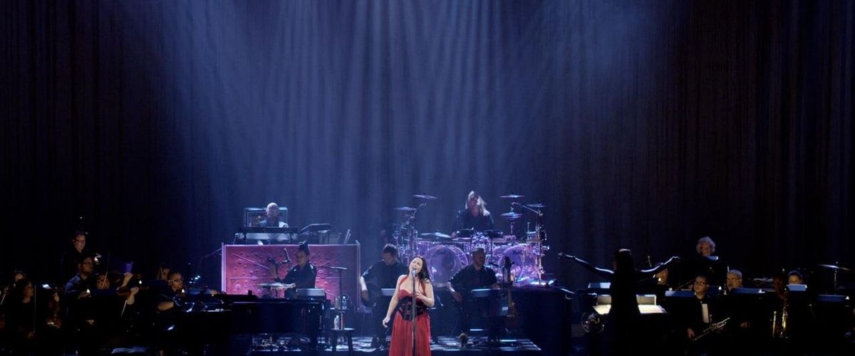 Evanescence: Synthesis Live