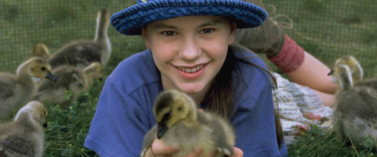 Fly Away Home