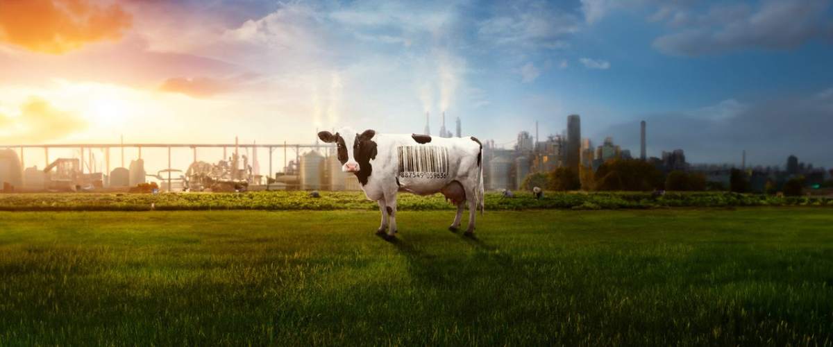 Food, Inc 2