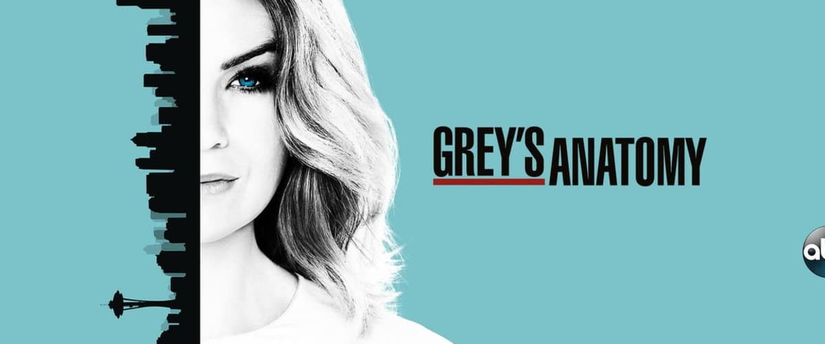 Watch Greys Anatomy - Season 13