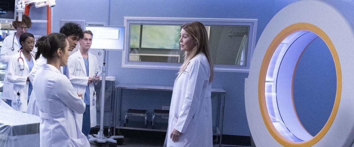 Grey's Anatomy - Season 19