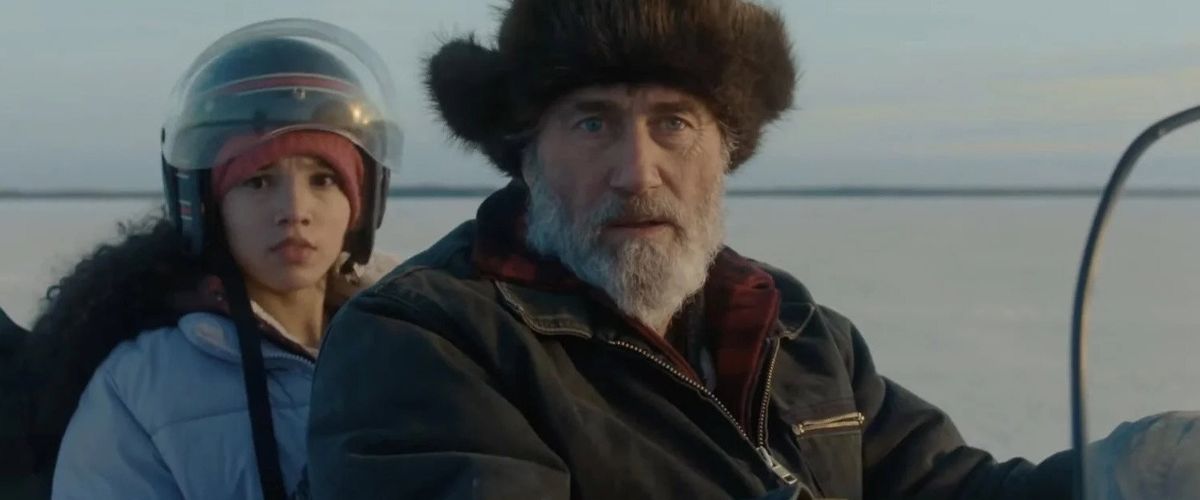 Hair of the Bear