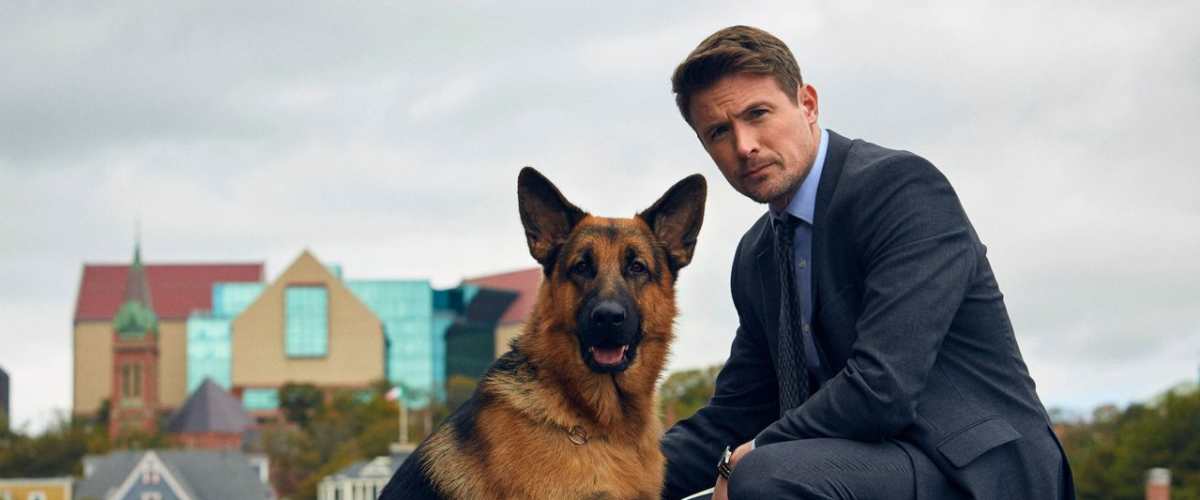 Watch Hudson & Rex - Season 4