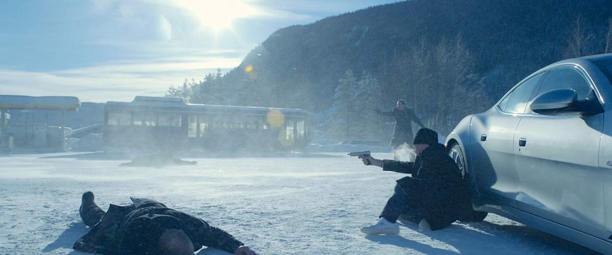 Watch In Order Of Disappearance