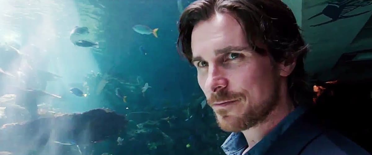 Knight of Cups
