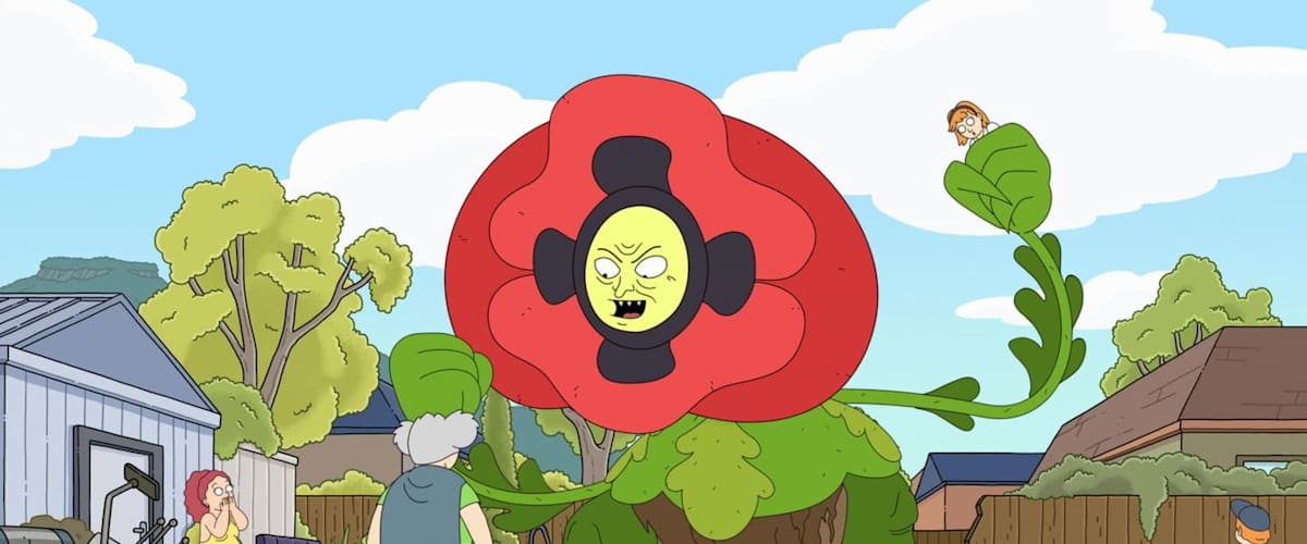 Watch Koala Man - Season 1