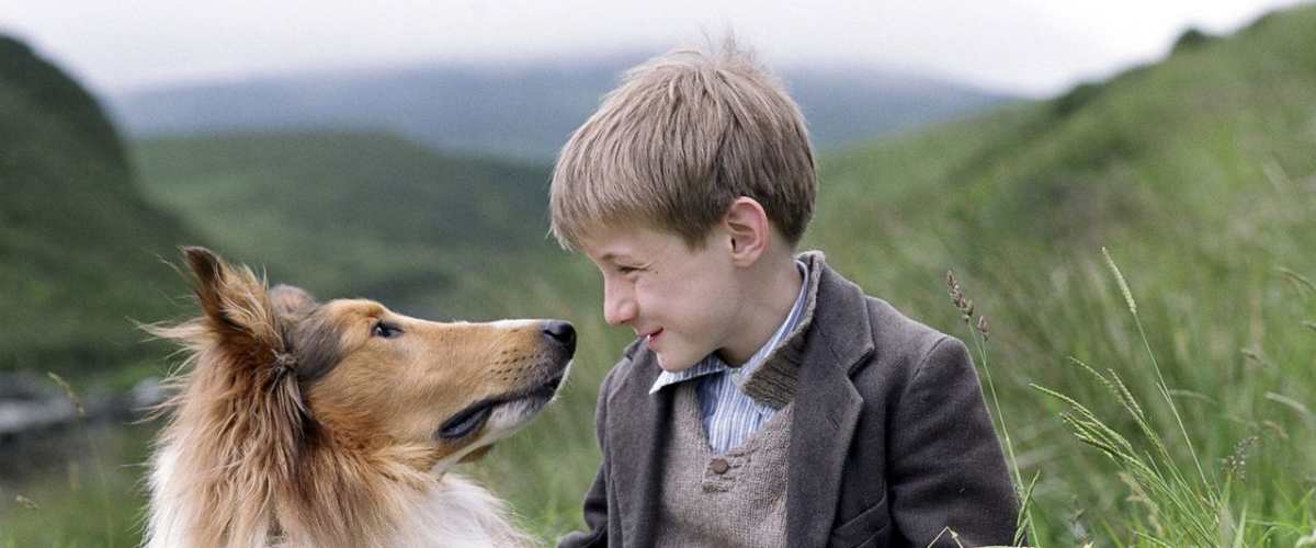 Lassie (2005), Watch Page