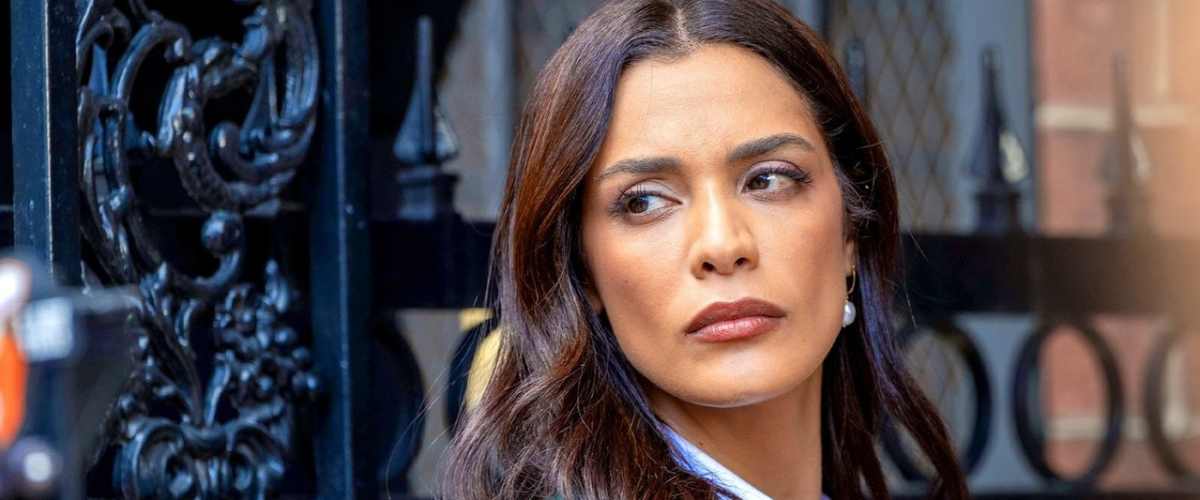 Watch Law & Order - Season 25