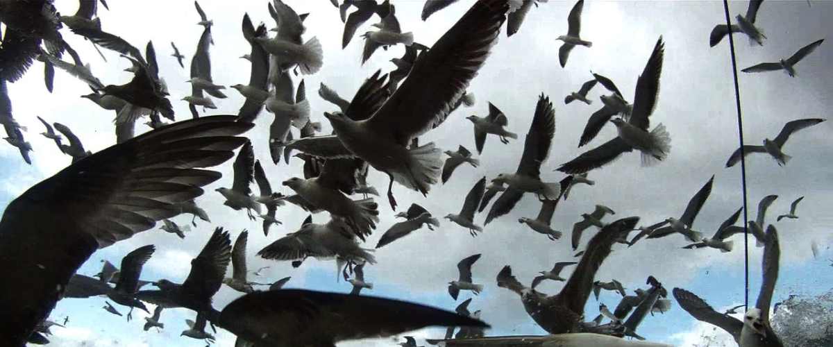 Watch Leviathan (2012)