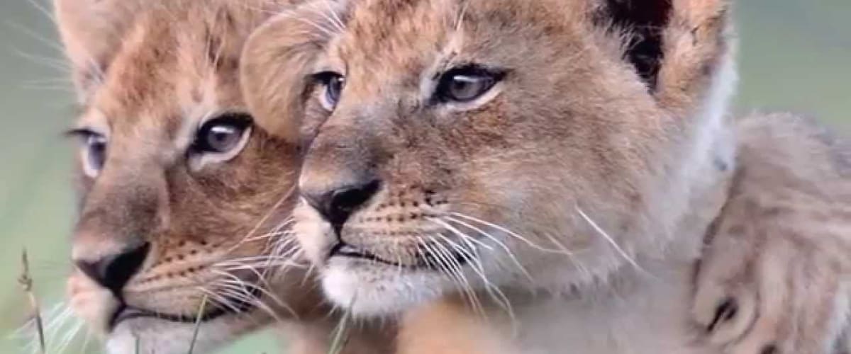 Watch Life Story - Season 1