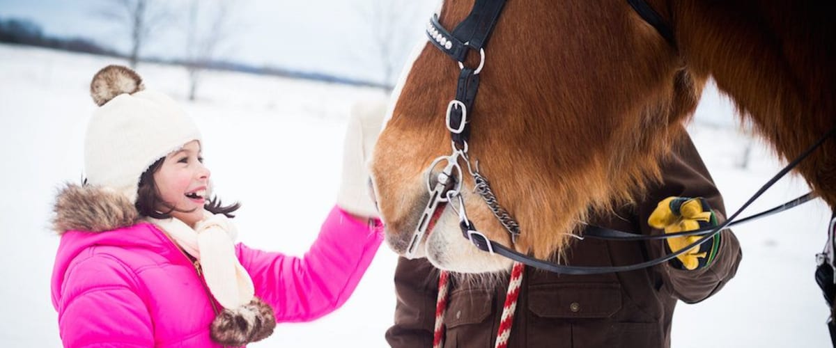 Watch Love Always, Santa