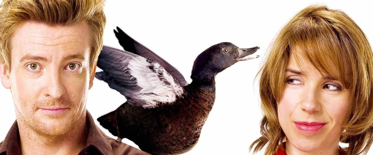 Love Birds