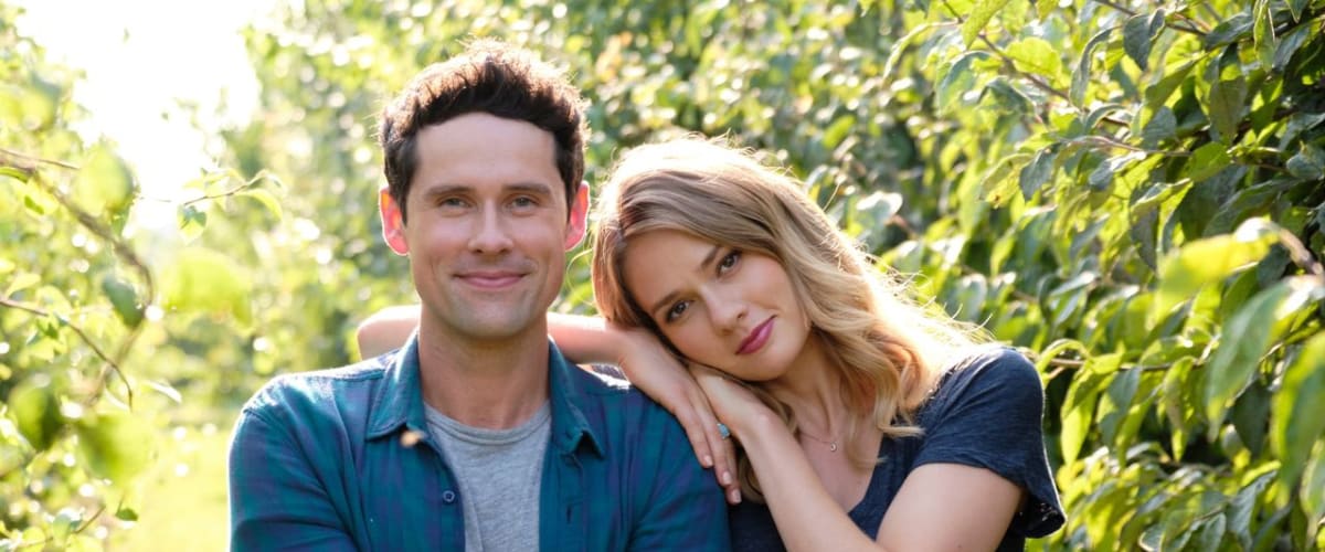 Watch Love Under the Olive Tree