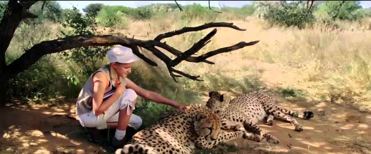 Magic Journey to Africa