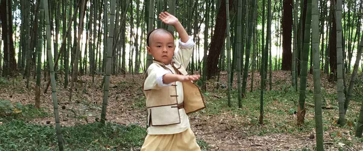 Watch Master Of The Shadowless Kick: Wong Kei-Ying