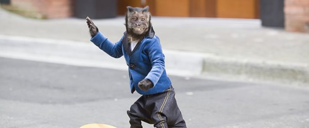 Monkey Up