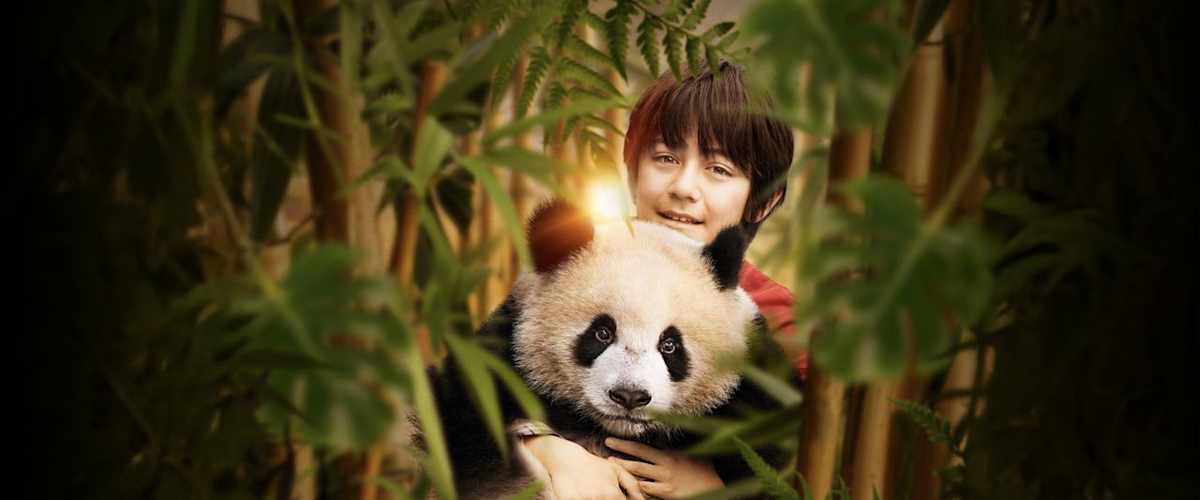 Moon The Panda