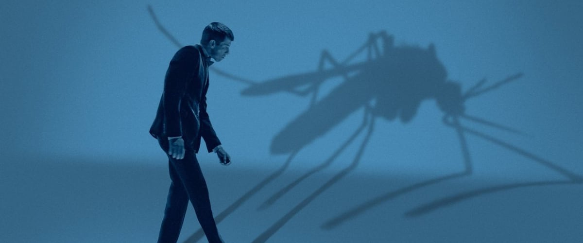 Watch Mosquito State