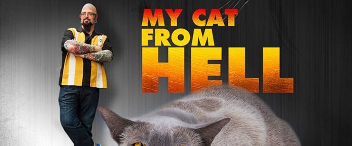 My cat from hell best sale season 9 watch online