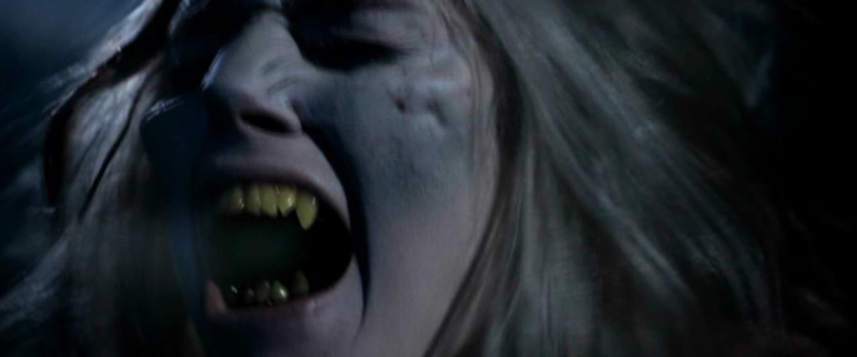 Watch Night Wolf (13 Hrs)