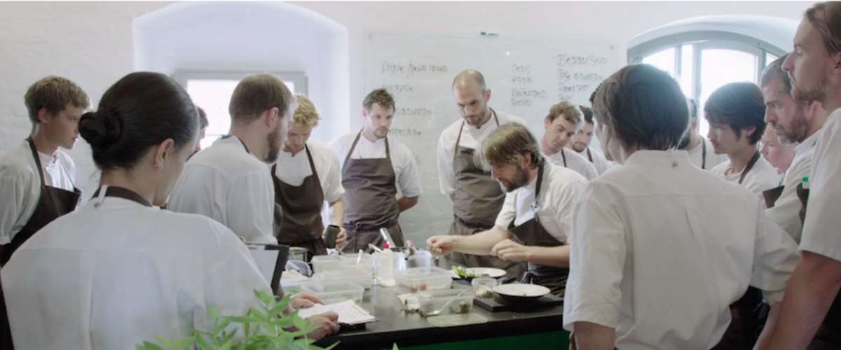 Noma My Perfect Storm