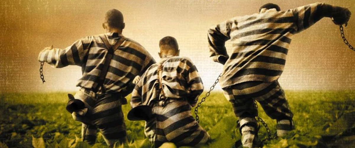 O Brother, Where Art Thou?