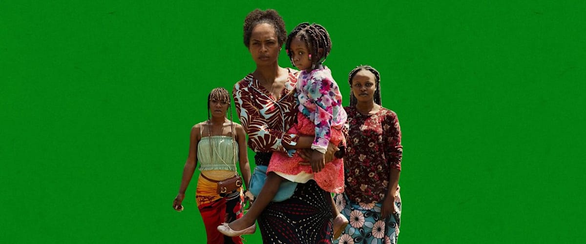 On Becoming a Guinea Fowl